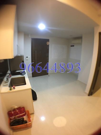 Vibes @ East Coast (D15), Apartment #161281942